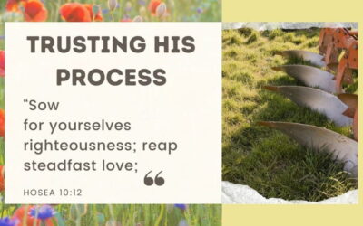 Trusting His Process